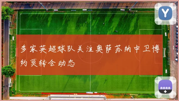 多家英超球队关注奥萨苏纳中卫博约莫转会动态
